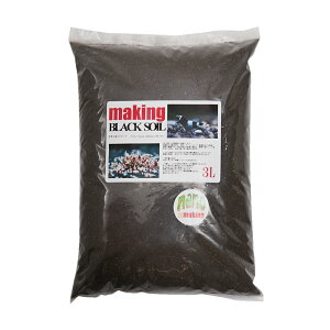 AEgbgi@H[CLO@ubN\C@nano@3L@󂠂@֓