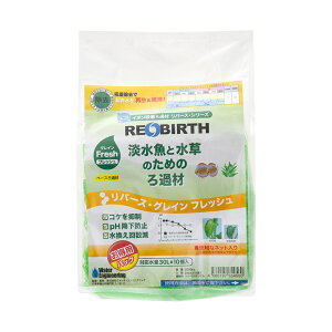 o[XEOC@tbV@200cc@10@x[Xߍށ@GHEAjAEɎ_zށ@@֓