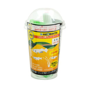 o[XEOC{@_J@50cc@2@10LΉ@O|tB^[@֓