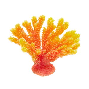 LSS@vJTS@X[R[@TR|mini9@O@֓