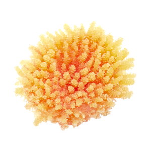 LSS@vJTS@X[R[@TR|mini12@O@֓