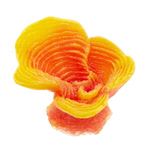 LSS@vJTS@X[R[@TR|mini15@O@֓