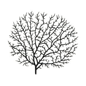 LSS@vJTS@V[t@@TR|1@B@֓