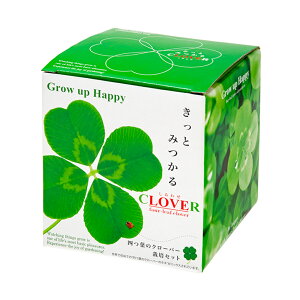 V|@Ƃ݂lt̃N[o[@͔|Zbg@ƒ؉@Mtg@֓