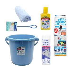 60cmp@ւ@6_Zbg@WECp@@|@֓