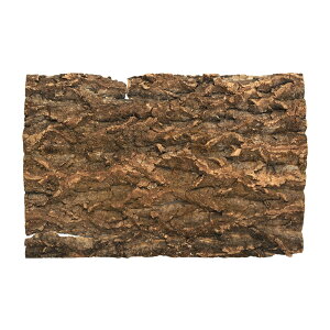 RN@45cmp@1@obNpl@roE@֓