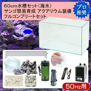 iCj60cmZbg@TSȈՈ琬tRv[g@CANAEi13_jvZbg@50Hz{p@{Bl