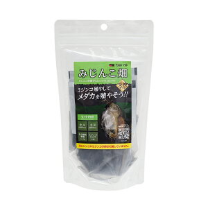 J~n^@~WR@~WR|{Zbgp@Zbg@֓