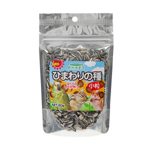 ybgt[h@Rh錾@Ђ܂̎@@80g@@nX^[@@֓