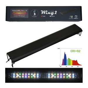 {NXWp@Grassy@Wing2@60@Fresh^tbV@@Ɩ@60cm@֓