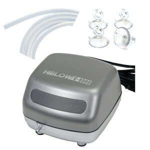 L[@nCu[@C|8000@q[Y{ivXj@LXSƃGA[`[û܂@֓