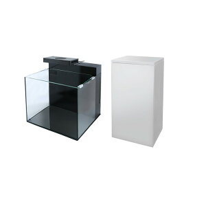 Zbg@SHELL2@VF@tbV@I[CVXe{pLrlbg@zCg@ll1_@֓