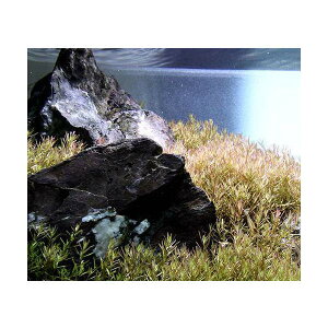 ij60cmp@^spDCi[hitji_ji100{jR΁@Zbg@{Bl