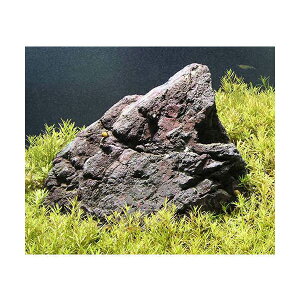 ij30cmp@xgiS}mnOTitji_ji50{jR΁@Zbg@{Bl