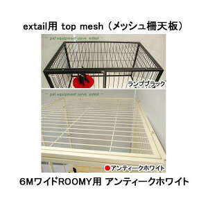 AEgbgi@extailp@top@mesh@bVV@6MCh@ROOMYp@󂠂@֓