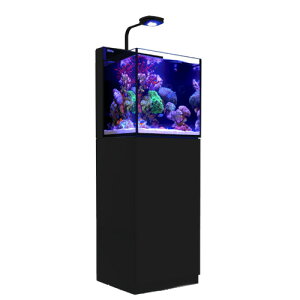 レッドシー MAX NANO G2 CUBE セット ブラック(旧LEDセット) 50Hz 東日本用 45cm水槽 180サイズ 2個口 関東当日便