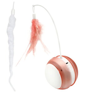 L炵@t@^W[[h@[O^u[@sN@֓