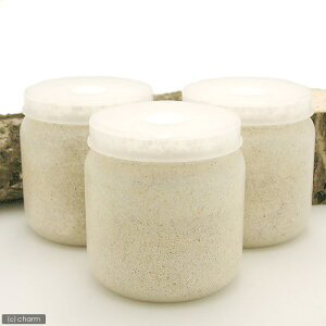 ێr@XL|POT@q^P@1400cc@5{