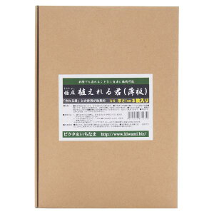 sN^@ɏ@AN@A4@1cm@3@eE@CAEg@֓