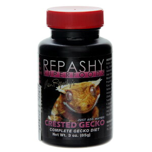 pV[@X[p[t[h@NXebhQbR[@oii@3z@85g@֓