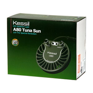 Kessil@A80@Tuna@Sun@Wp@30`60cm@@Cg@Ɩ@֓