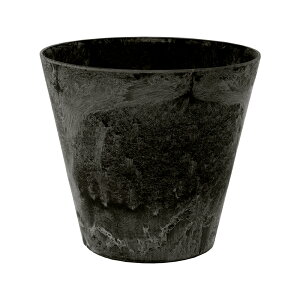 @amabro@A[gXg[@Eh@ubN@22cm@Aؔ@@֓