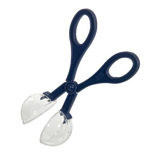 _XeBOɕ֗ȃCGRLb`[@Nbv@GT@Ƃ@֓