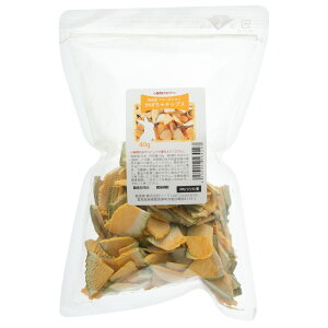 Y@t[YhC@ڂ`bvX@40g@̂@֓