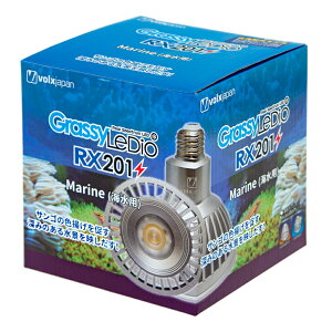 {NXWp@Grassy@LeDio@RX201@Marine^}@@Cg@Ɩ@֓