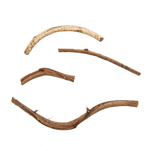 у_}̑N@60g@@̂ڂ؁@CAEgpi@@֓