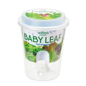 V|@tbVtB[@xr[[t~bNX@GD|819@͔|Zbg@ƒ؉@Mtg@֓