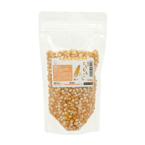 Y@Ƃ낱@X@|bv@300g@eʁ@p̂@Y@F@֓