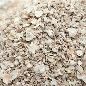 国内洗浄焼成済み C.P.Farm コーラルシェル 6kg(1kg×6)(約4.8L) 海水水槽用底砂 おまけ付き 関東当日便
