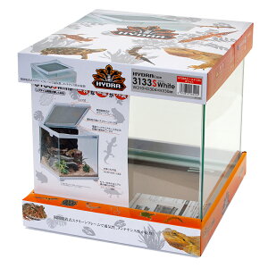 ঒ރP[W@RguLH|@qhP[X@3133S@zCg@঒ށ@P[W@ll1_@֓