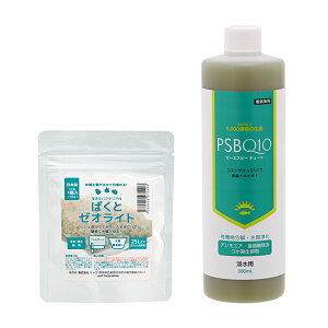 PSBQ10@500mL{΂ƃ[ICg1i60gj@Zbg@֓