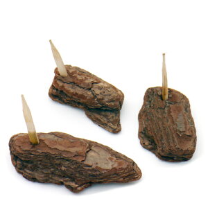 XYVERIMp@GT@vdl@3@֓