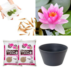 (ビオトープ)(めだか)はじめての睡蓮栽培セット チャレス+睡蓮鉢+ヒメダカ+浮き草他 説明書付 本州四国限定 お一人様1点限り