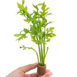 ijCt}`ijEH[^[XvCgitji_ji1j