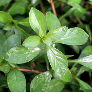 ijbhhEBWAitji_ji10{j