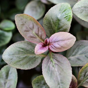 ijxAJ[fBiXitji_ji6{j