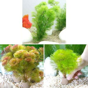 ij_JE@Ct}`ijJ{o@3J[Zbg@e2iv6j