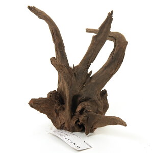 J~n^@^CYVR؁@_[Nz[Ebh@M@`󂨔C@AN@23×14×22cm@ANAE@@֓