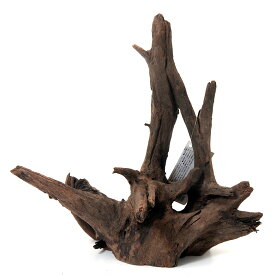 カミハタ　タイ産天然流木　ダークホーンウッド　L　形状お任せ　未アク抜き　約28×20×30cm　アクアリウム　水槽　関東当日便