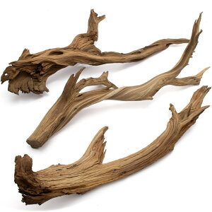 `󂨔C@ύݍς݁@S[XgEbh@LTCYi60`80cmj@3{@CAEgfށ@؁@֓