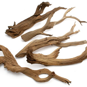 `󂨔C@ύݍς݁@S[XgEbh@LTCYi60`80cmj@5{@CAEgfށ@؁@֓