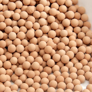 Čߍށ@΂܁@[ICg@a7mm@500mL@AjAz@zCIz@֓