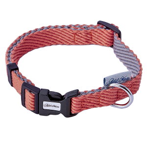 AEgbgi@pց@\tgXLbvJ[L@bh@󂠂@֓