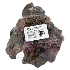 ATS@~j@CubNvJ@C35@֓