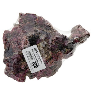 ATS@~j@CubNvJ@D43@֓