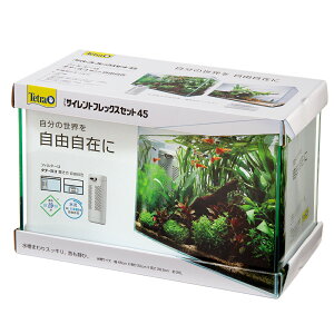 eg@TCgtbNXZbg@45@45cmZbg@tB^[t@ll1_@֓